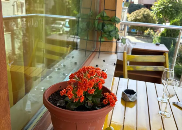 Cozy In Sunny Апартамент Слънчев бряг